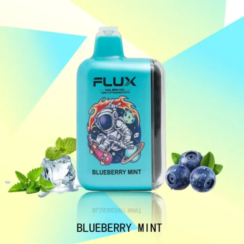 1b84067c3f0f4aefb0a55f852167c17b FLUX BLUEBERRY MINT 20000 PUFFS